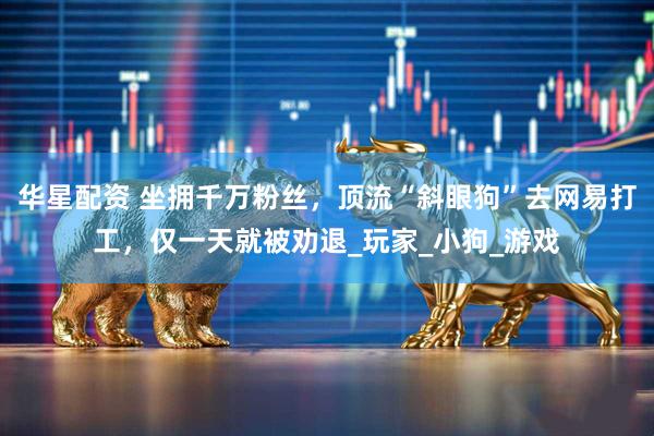 华星配资 坐拥千万粉丝，顶流“斜眼狗”去网易打工，仅一天就被劝退_玩家_小狗_游戏