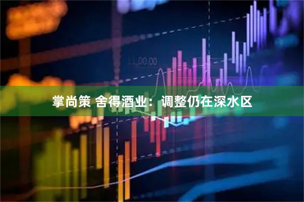 掌尚策 舍得酒业：调整仍在深水区