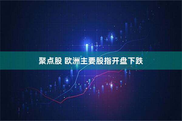聚点股 欧洲主要股指开盘下跌