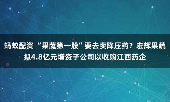 蚂蚁配资 “果蔬第一股”要去卖降压药？宏辉果蔬拟4.8亿元增资子公司以收购江西药企